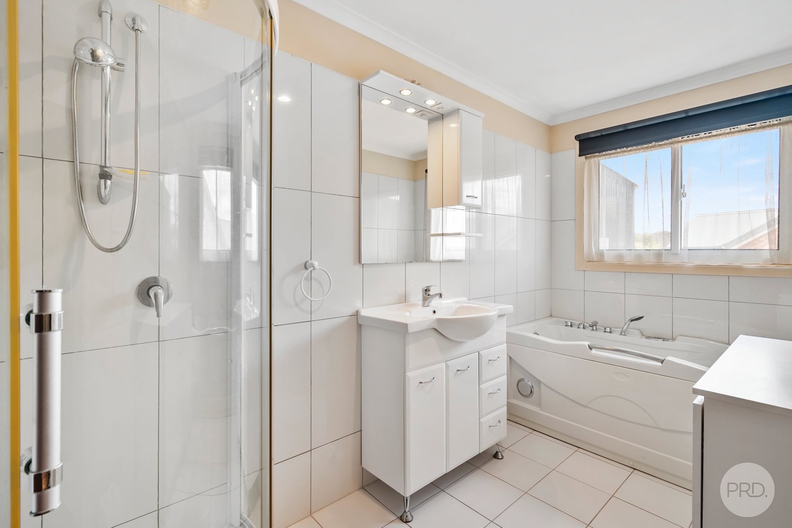 22 Sadri Court NEW NORFOLK 10