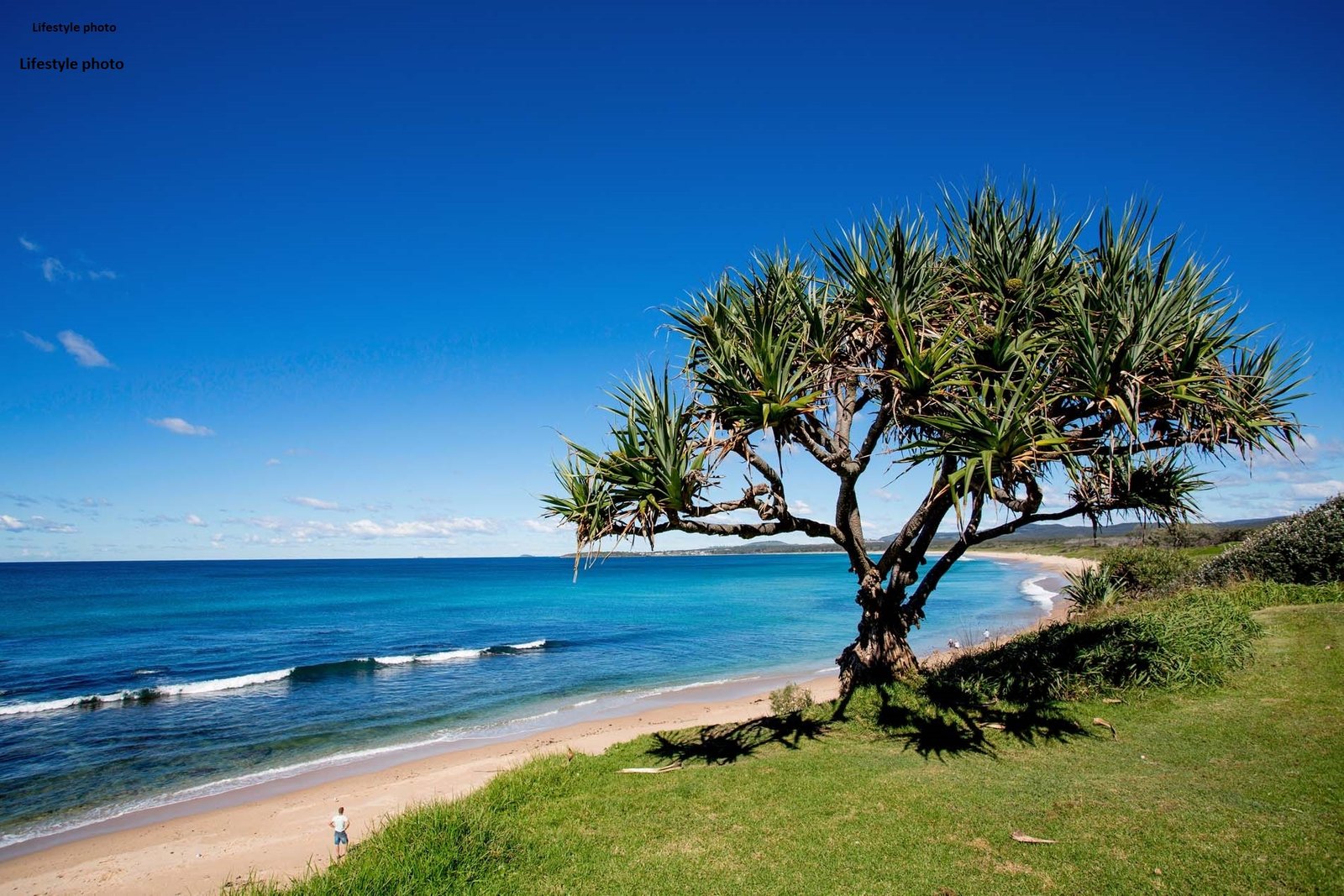22 Saltwater Crescent CORINDI BEACH 25