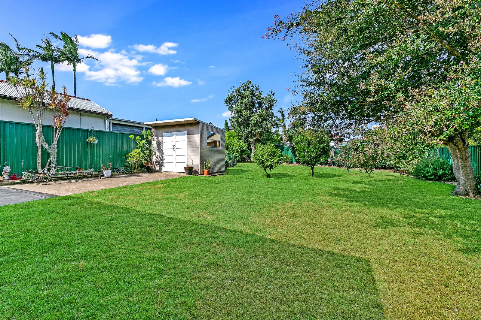 22 Staples Street KINGSGROVE 11