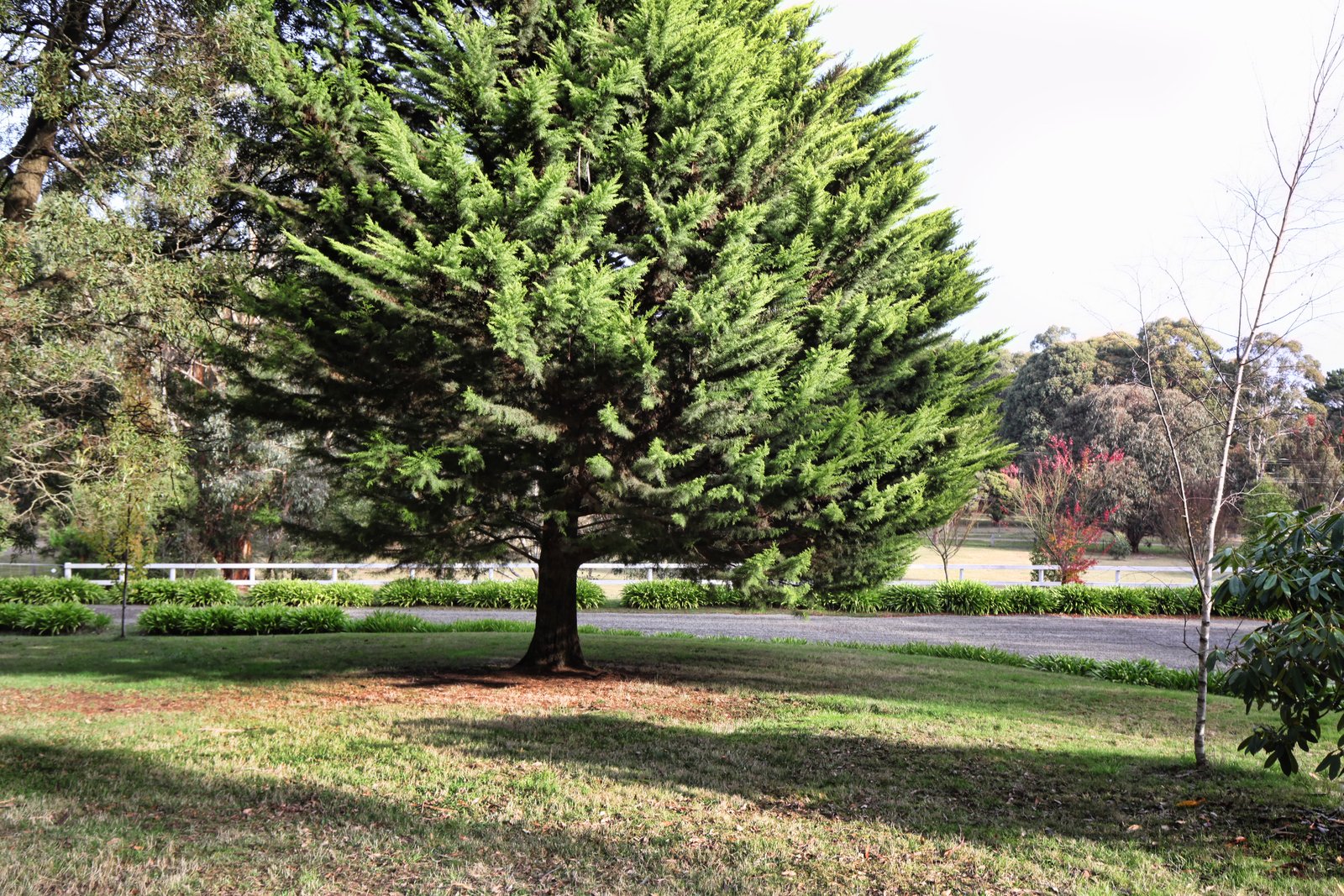 Real Estate and Property in 22 Strathclyde Crescent, Woodend, VIC