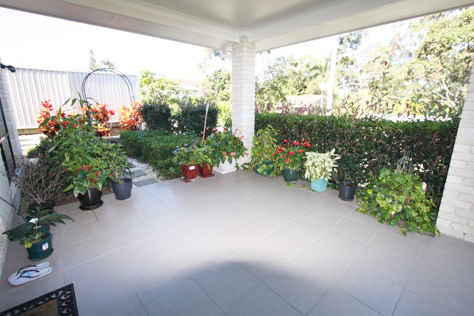 22 Stringybark Drive MOLENDINAR 12