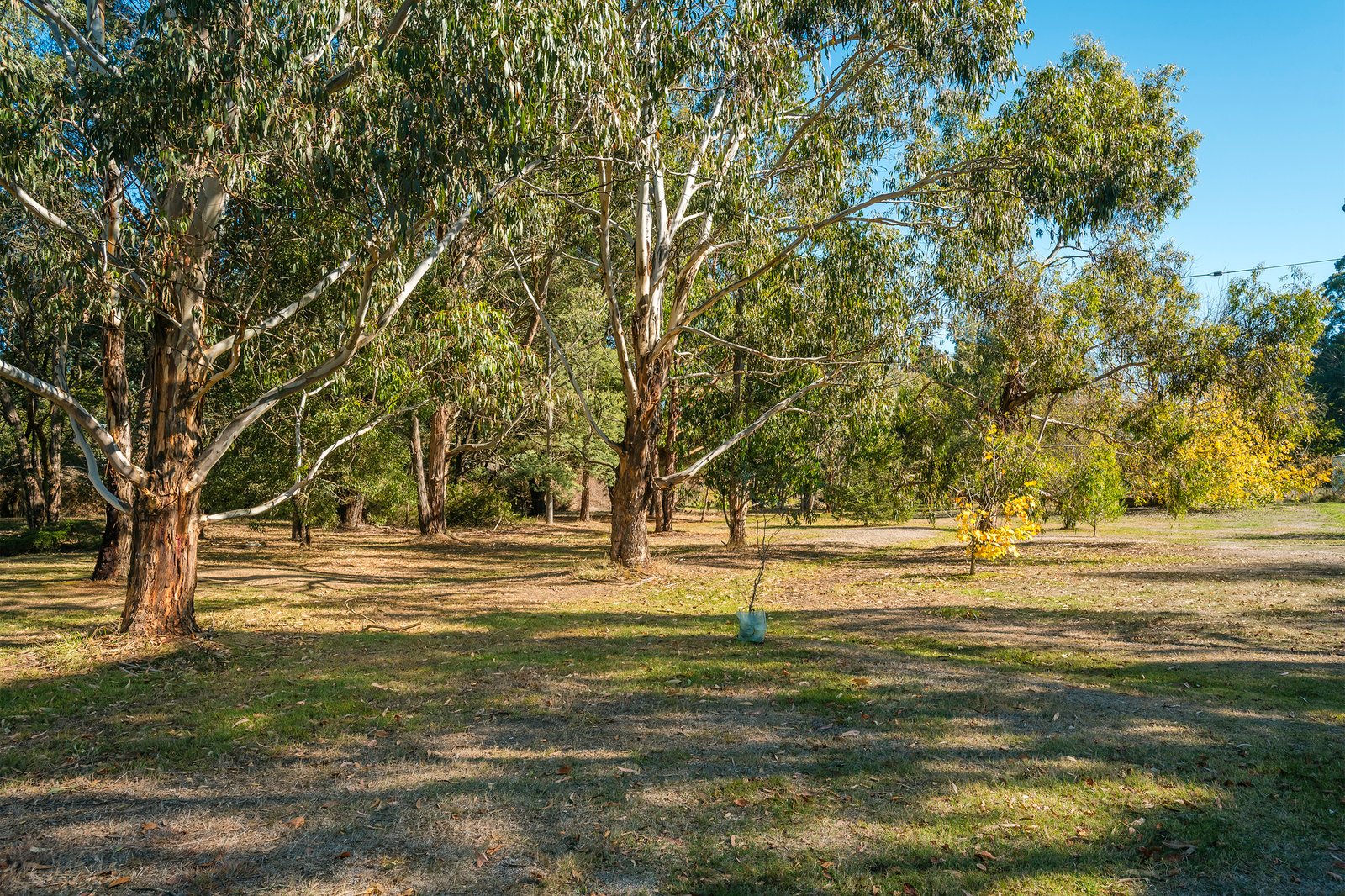 Real Estate and Property in 2/2 Sturt Street, Woodend, VIC