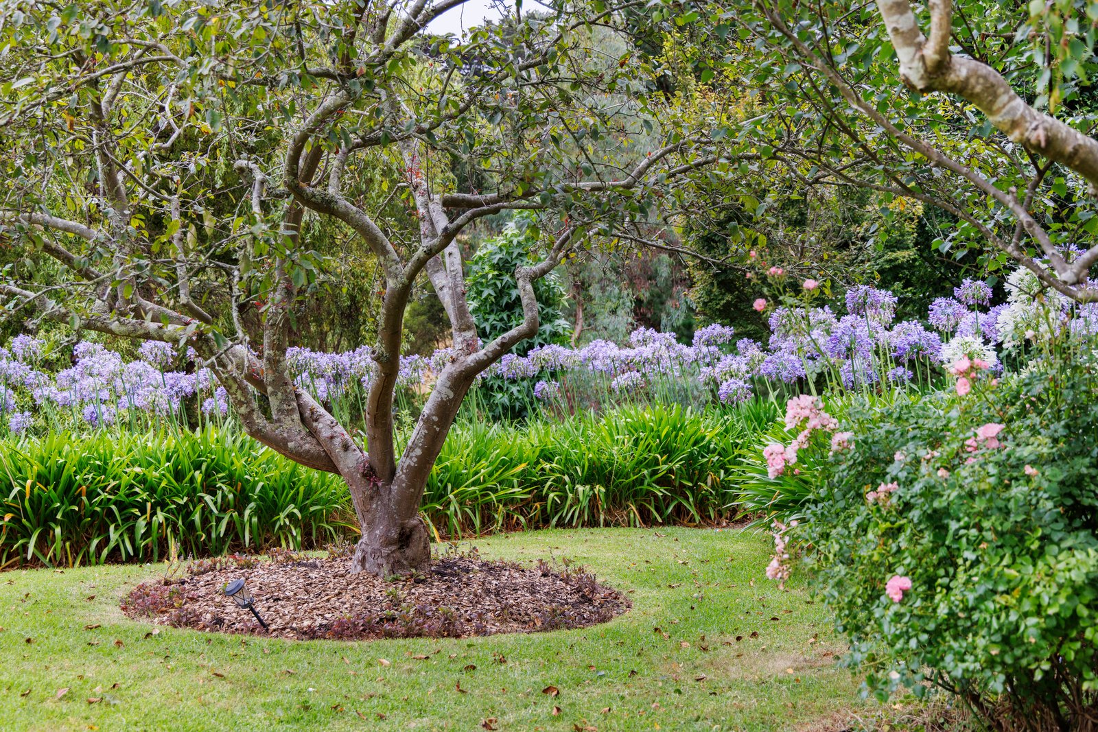 220 Barkers Road, Main Ridge, 3928