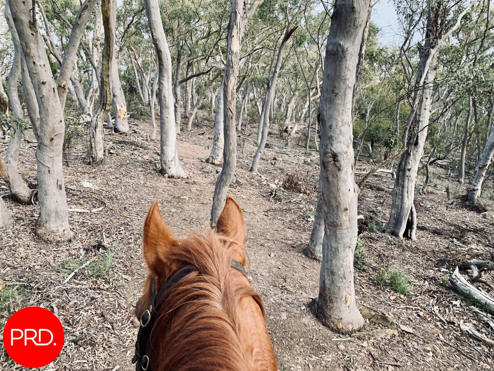 220 Bingley Way WAMBOIN 69