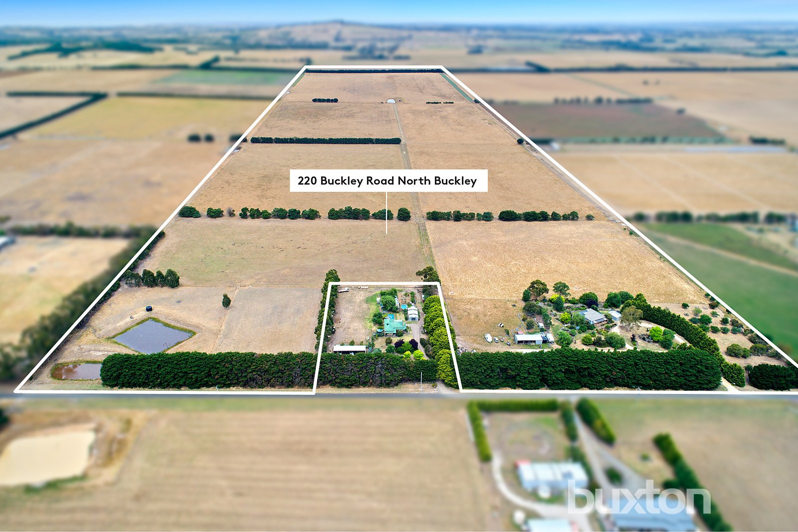 Gallery: 220 Buckley Road North