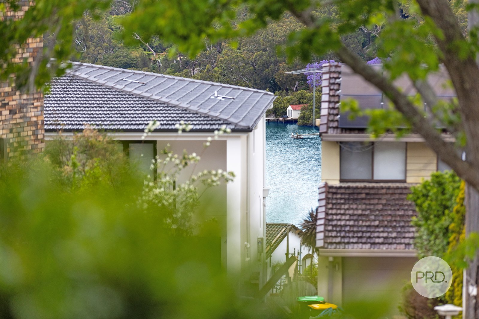 220 Lorraine Street PEAKHURST HEIGHTS 19