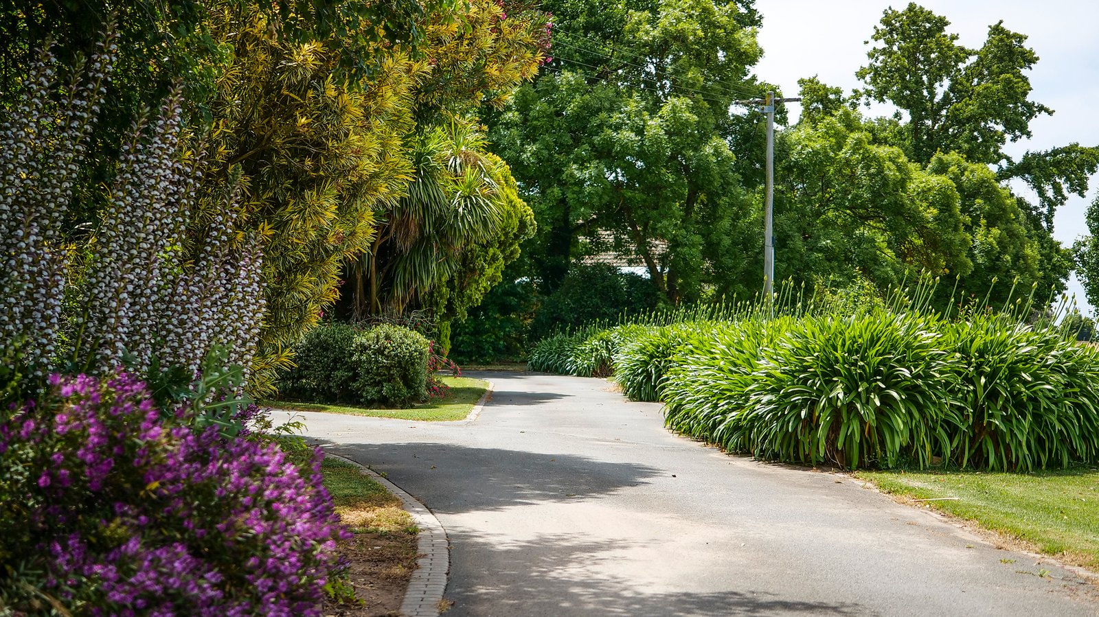 221 Ardmona Road ARDMONA 4