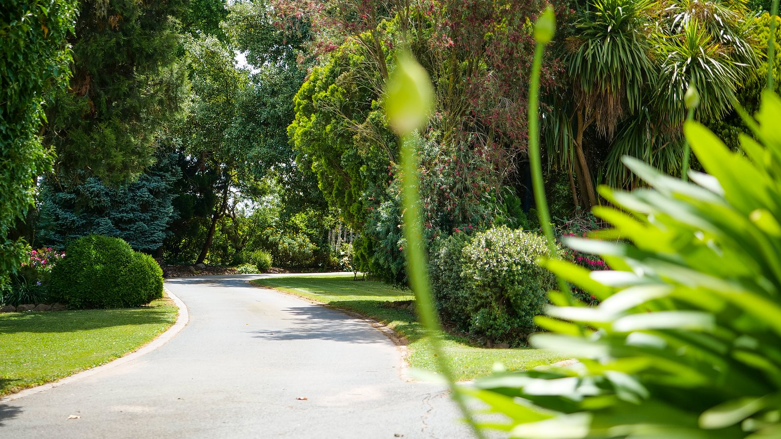 221 Ardmona Road ARDMONA 5