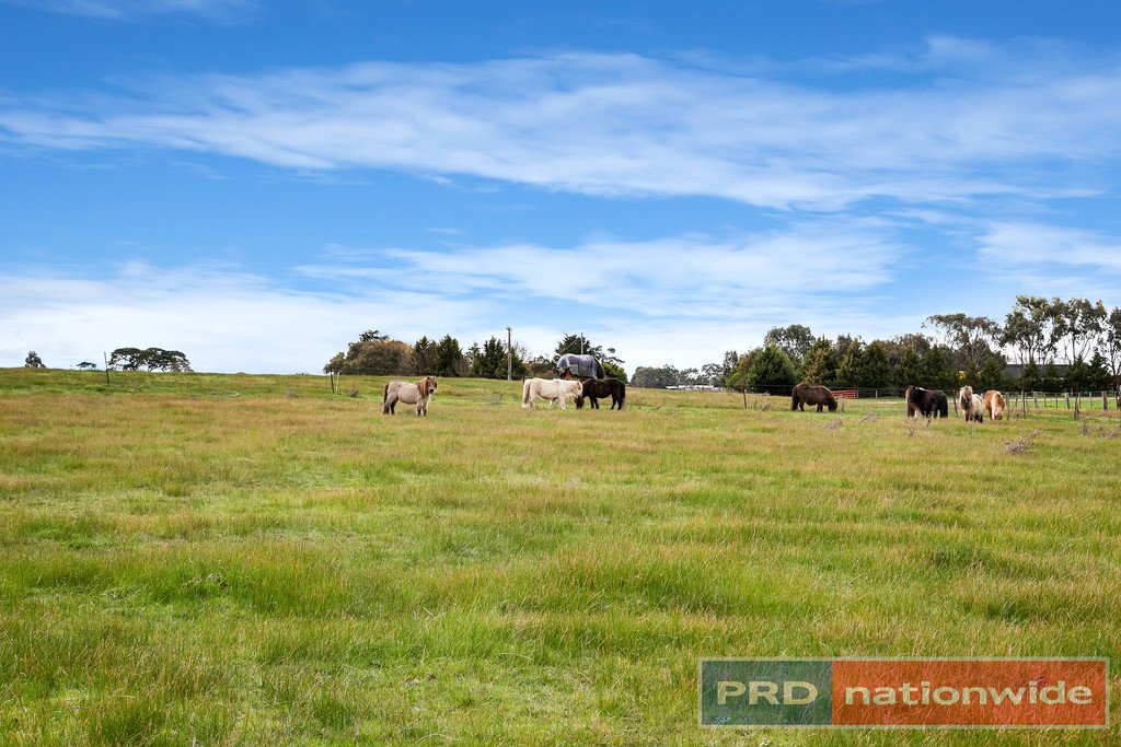 221 Brays Road CAMBRIAN HILL 16