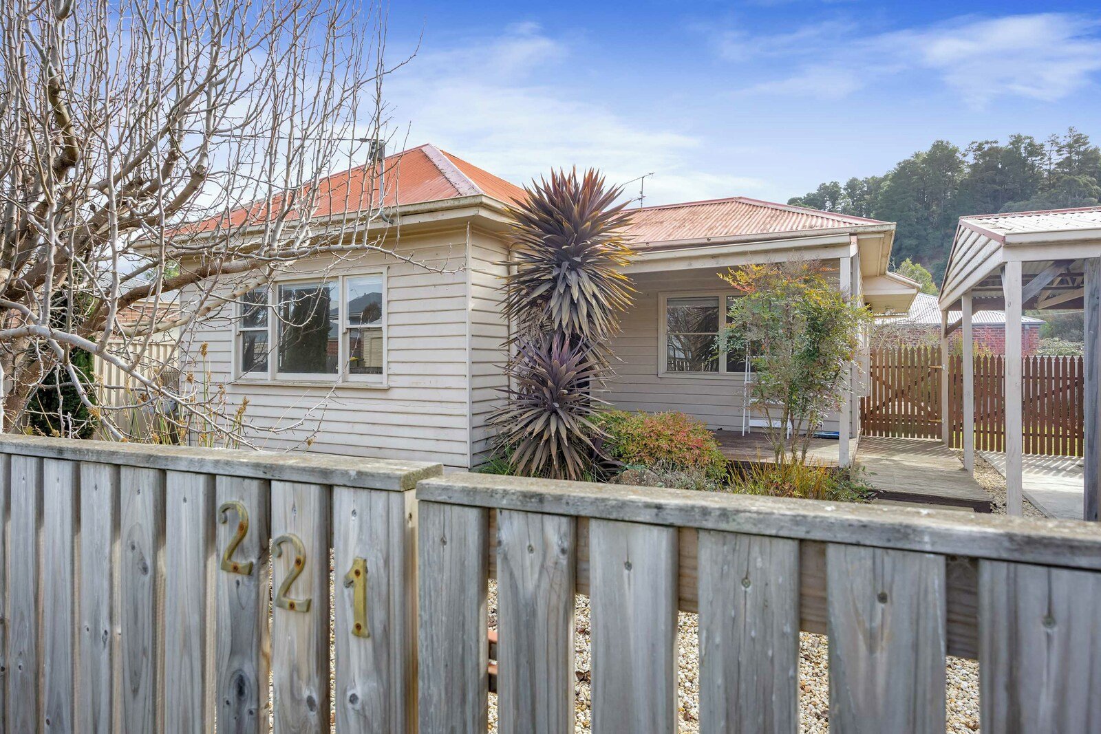 Gallery: 221 Finch Street