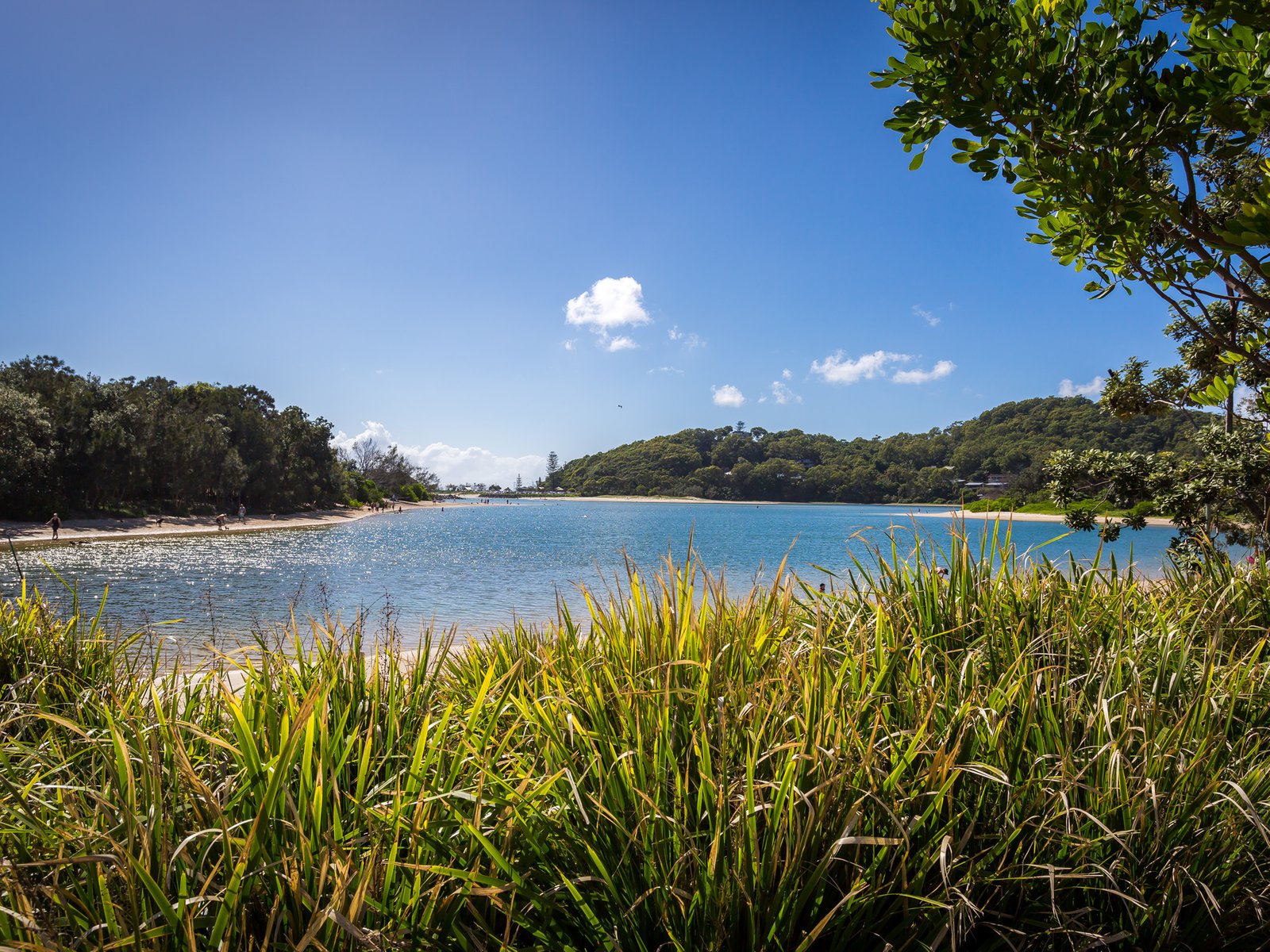 2/21 Hawaii Avenue PALM BEACH 18