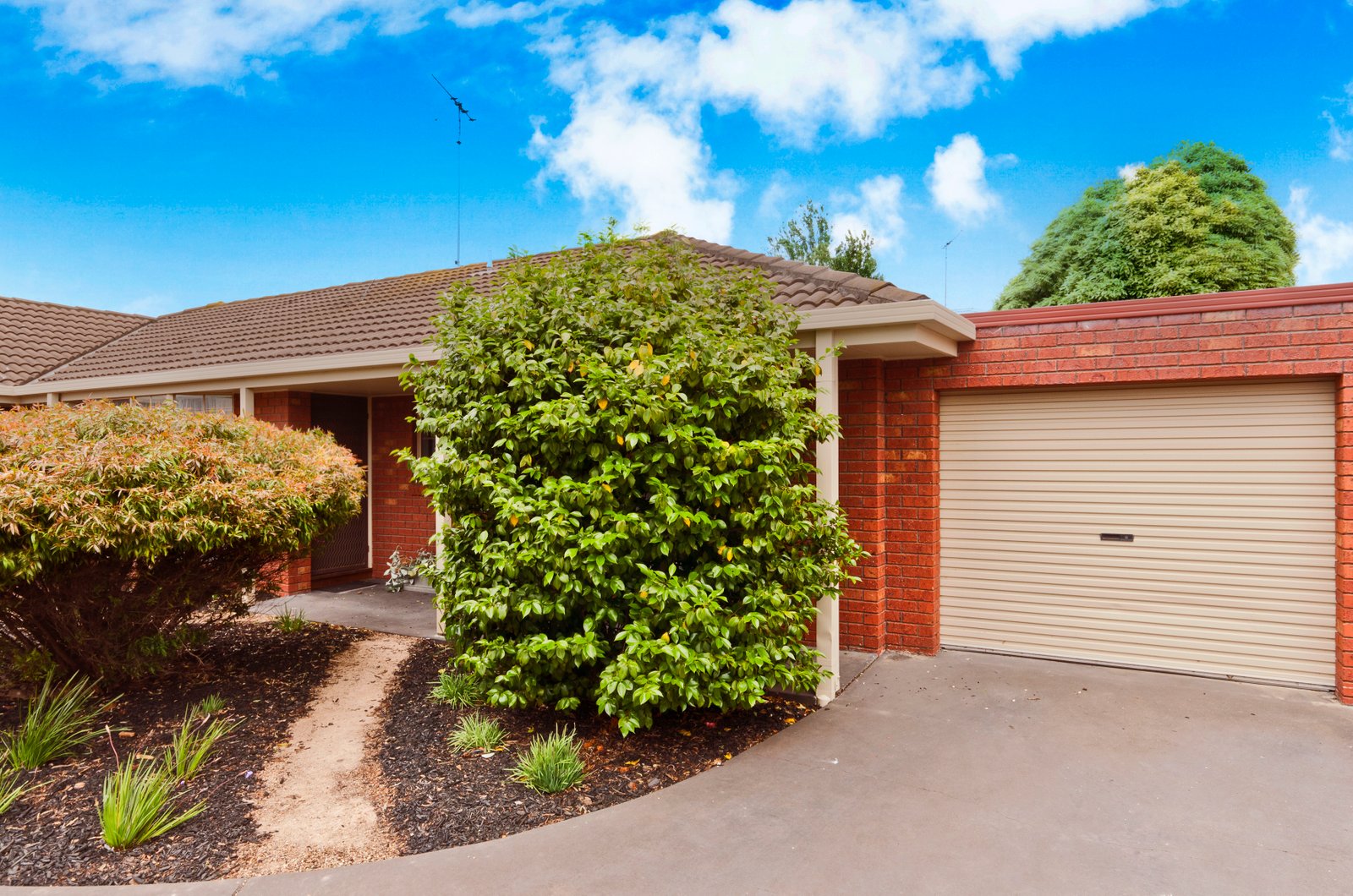 Gallery: 2/21 Lawton Avenue
