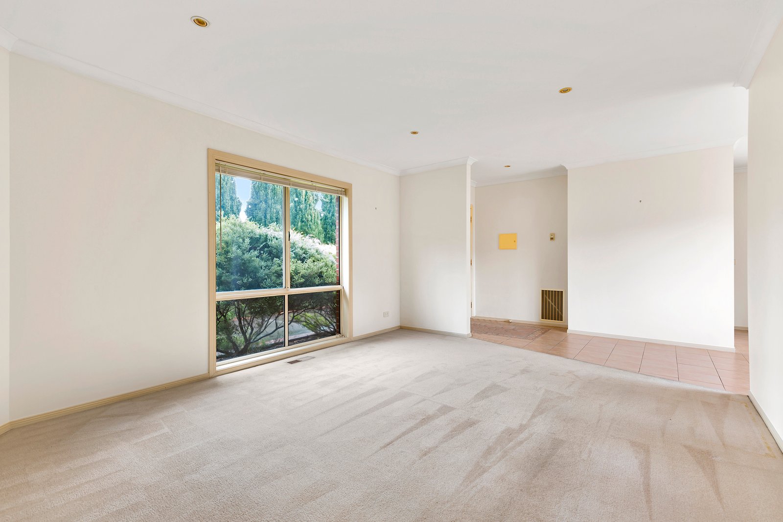 Gallery: 2/21 Loranne Street