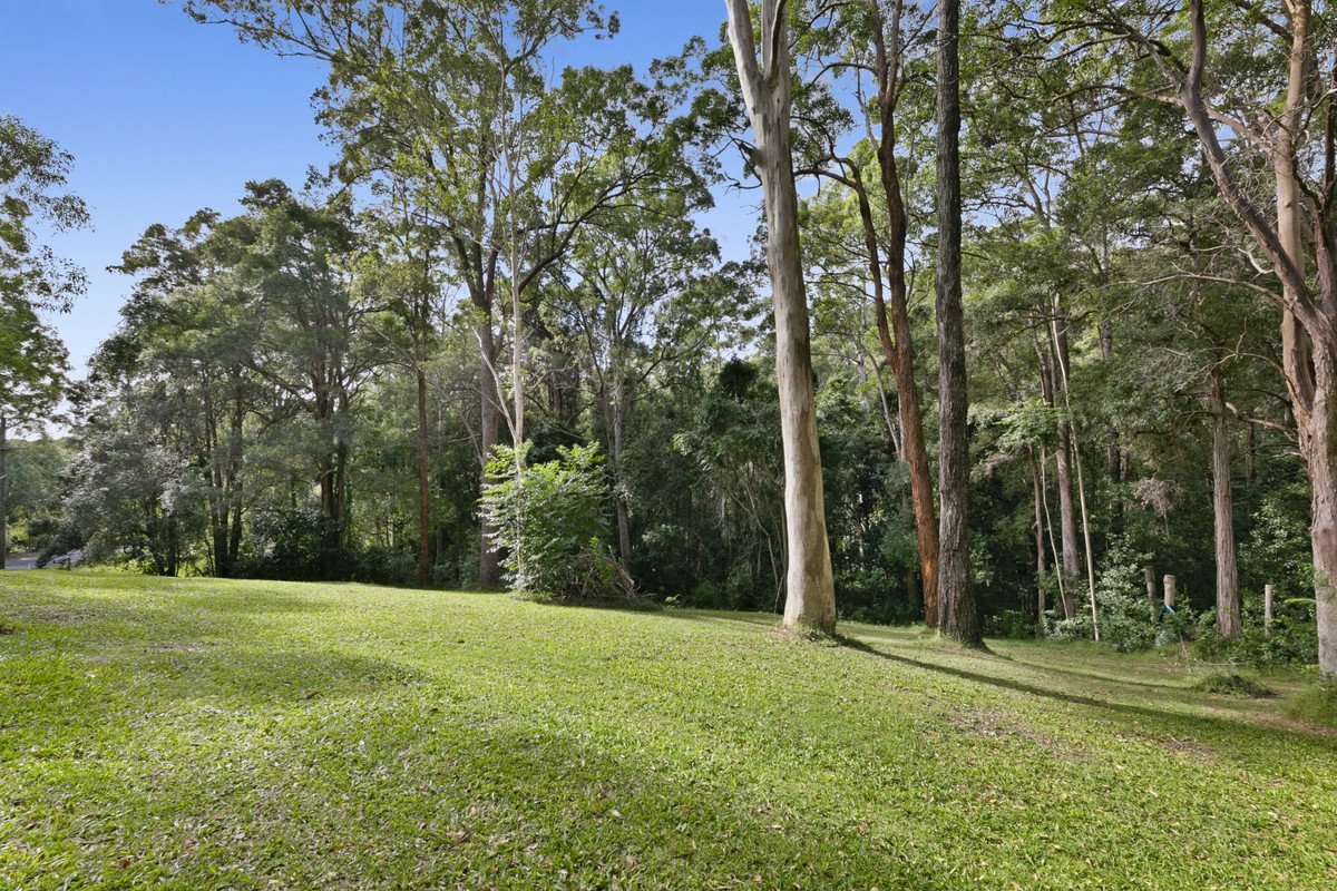 221 Trees Road Tallebudgera 1