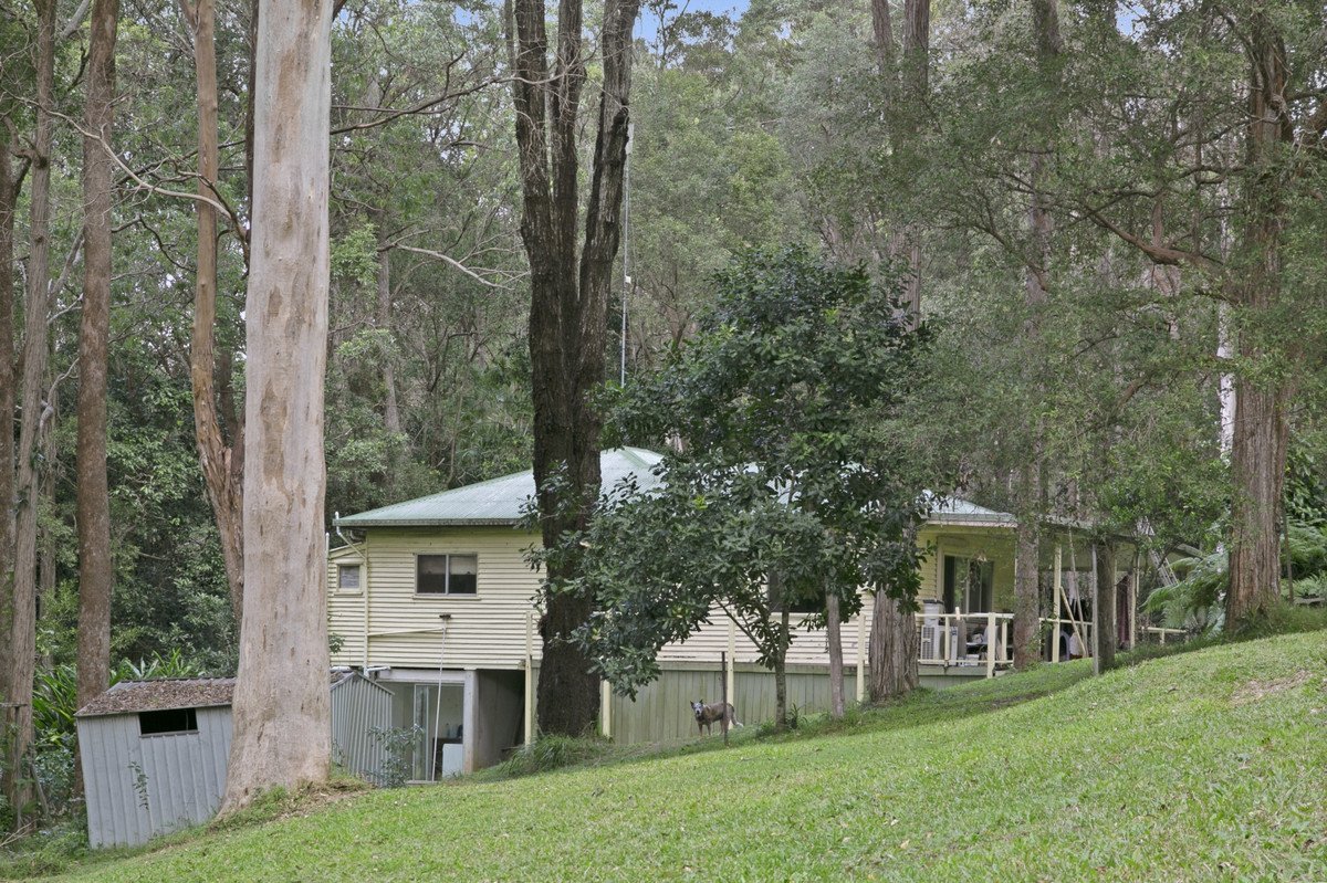 221 Trees Road Tallebudgera 15