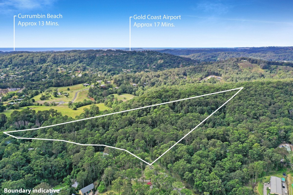 221 Trees Road Tallebudgera 16