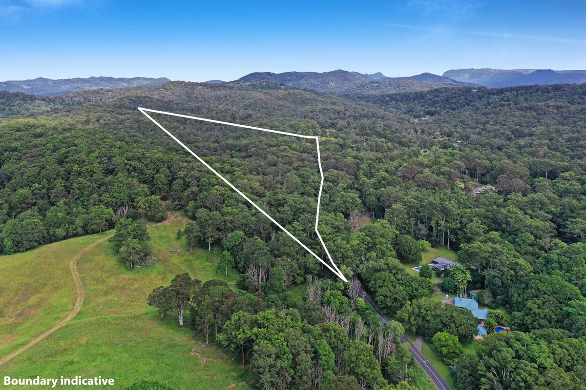 221 Trees Road Tallebudgera 17