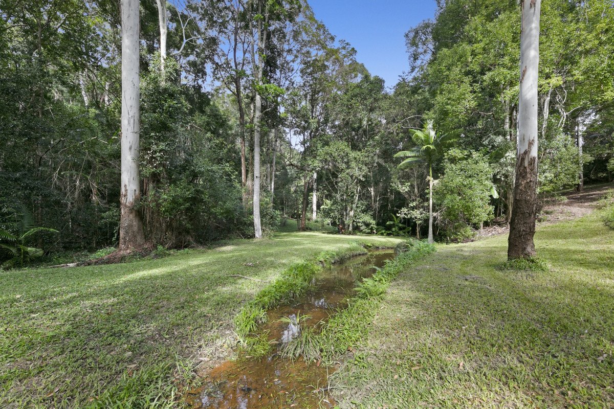 221 Trees Road Tallebudgera 18
