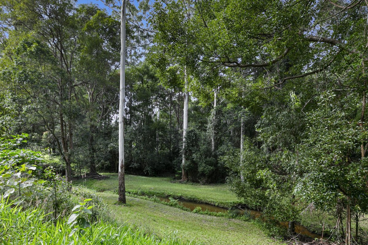 221 Trees Road Tallebudgera 20
