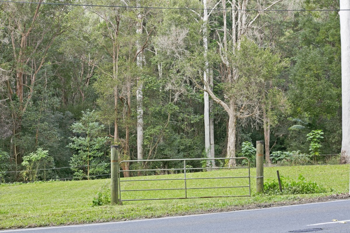 221 Trees Road Tallebudgera 21