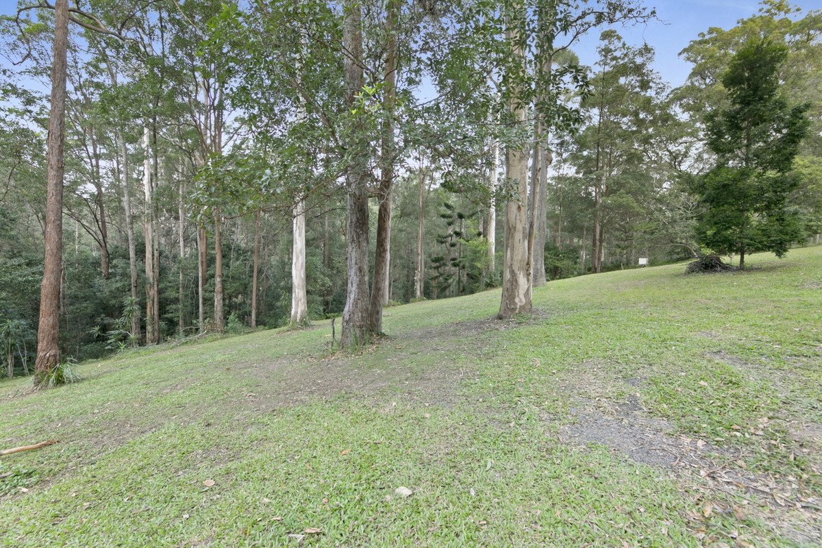 221 Trees Road Tallebudgera 22