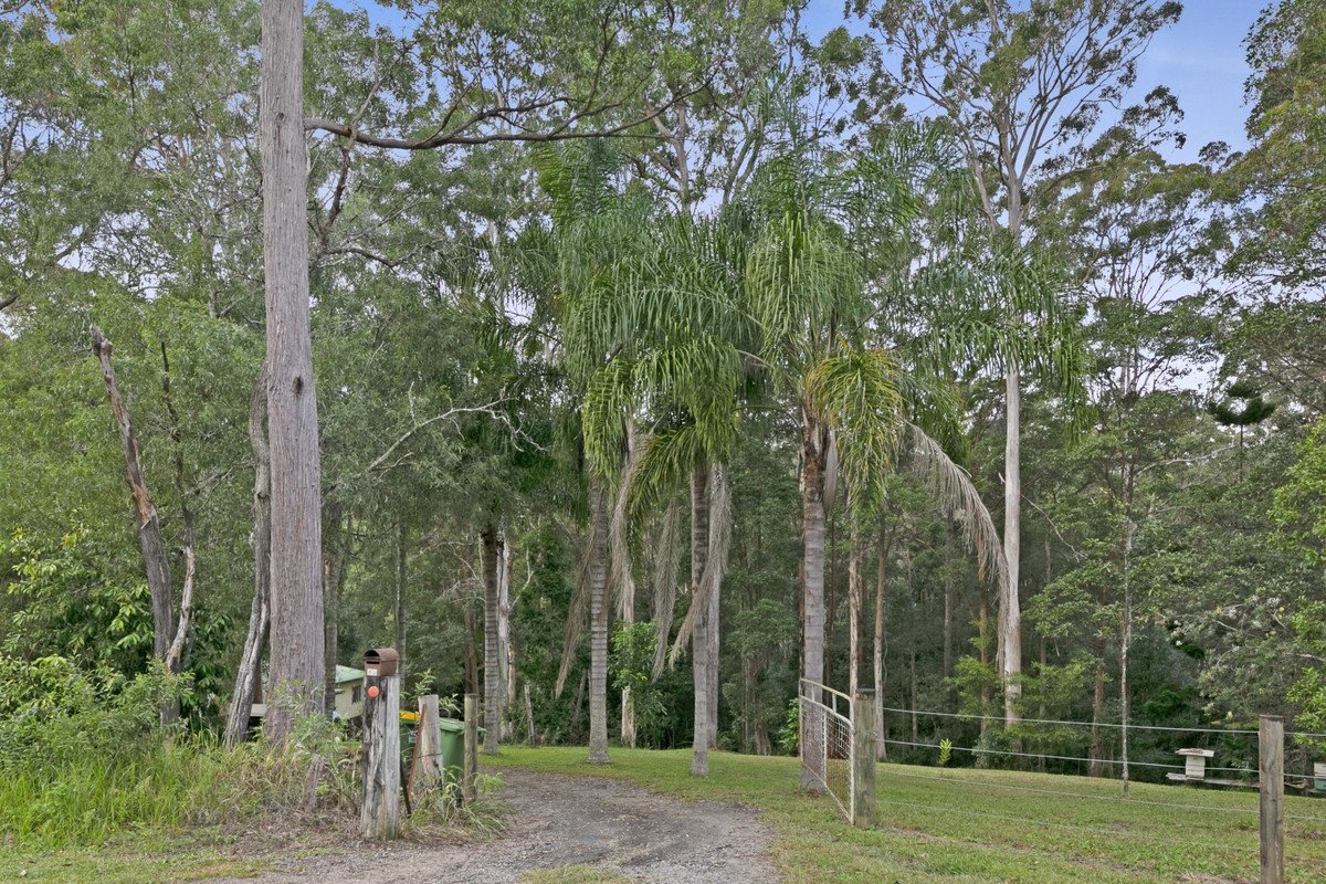 221 Trees Road Tallebudgera 25
