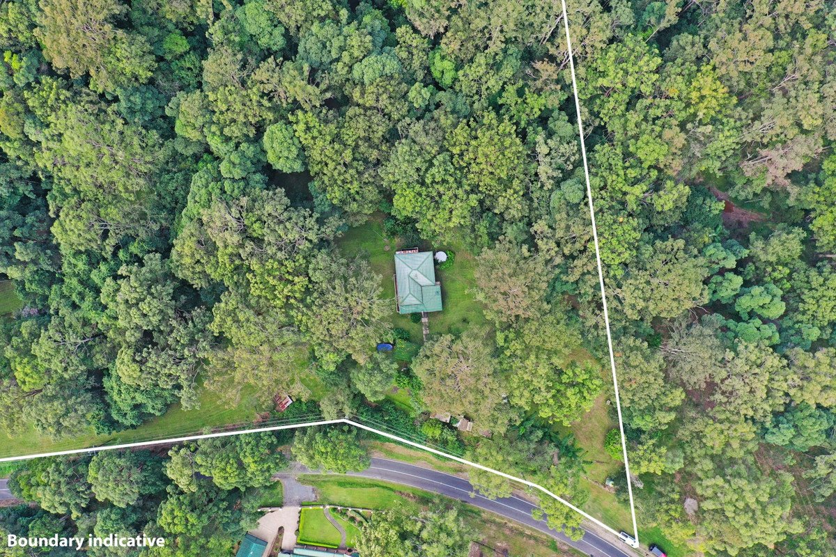 221 Trees Road Tallebudgera 26