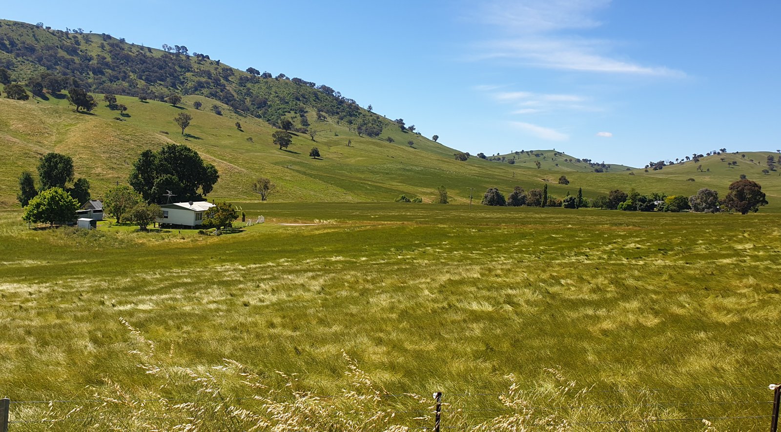 221 Webbs Road TUMUT 2