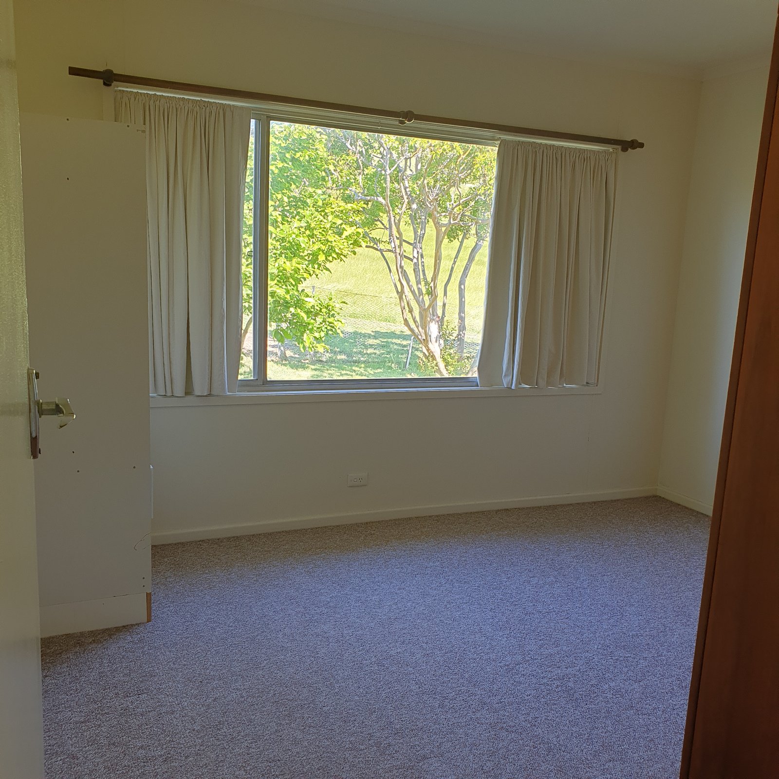 221 Webbs Road TUMUT 8