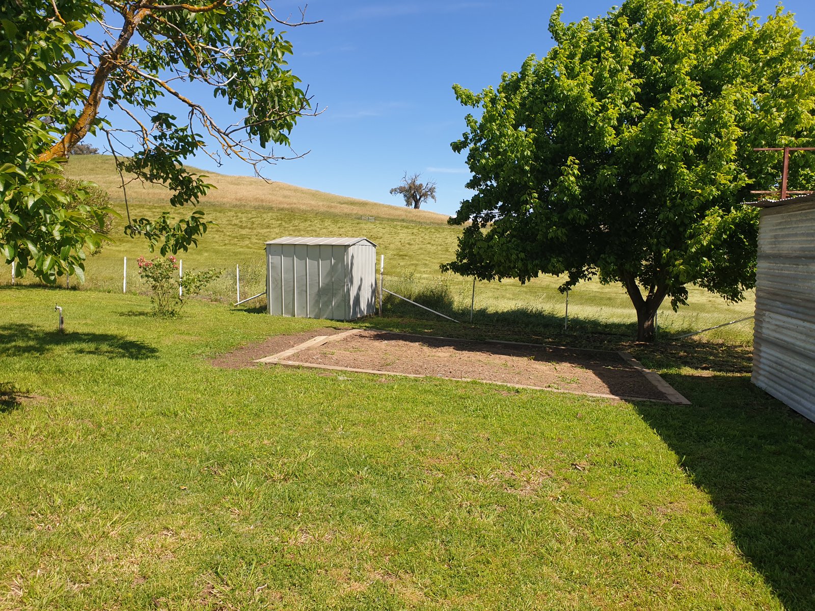 221 Webbs Road TUMUT 15