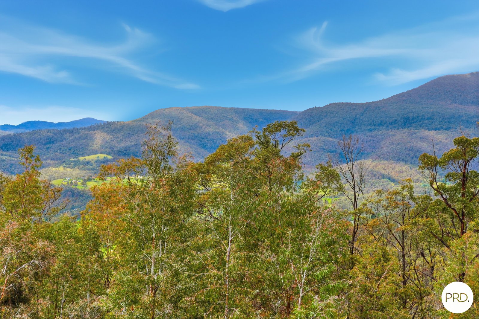 222 Top Swamp Road LACHLAN 5