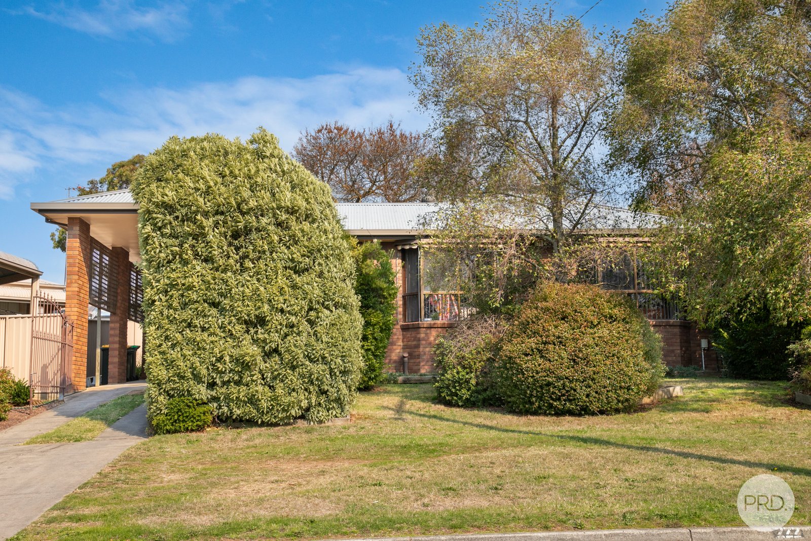 222 Wilson Street CANADIAN 2