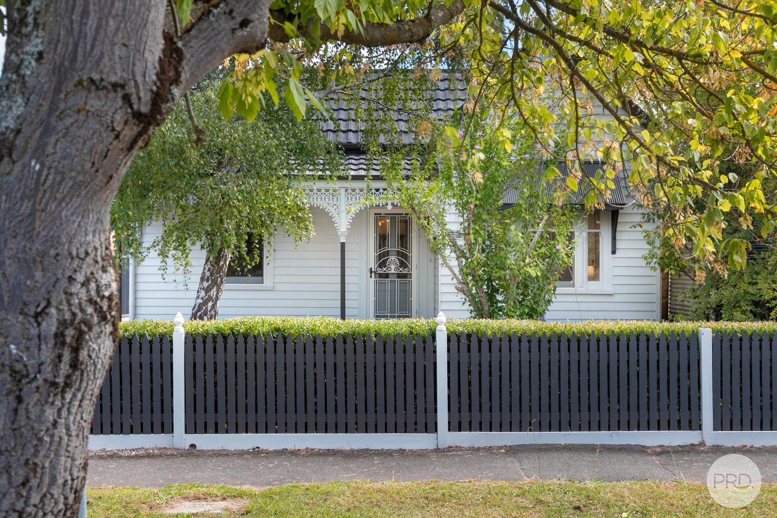 223 Clyde Street SOLDIERS HILL 1