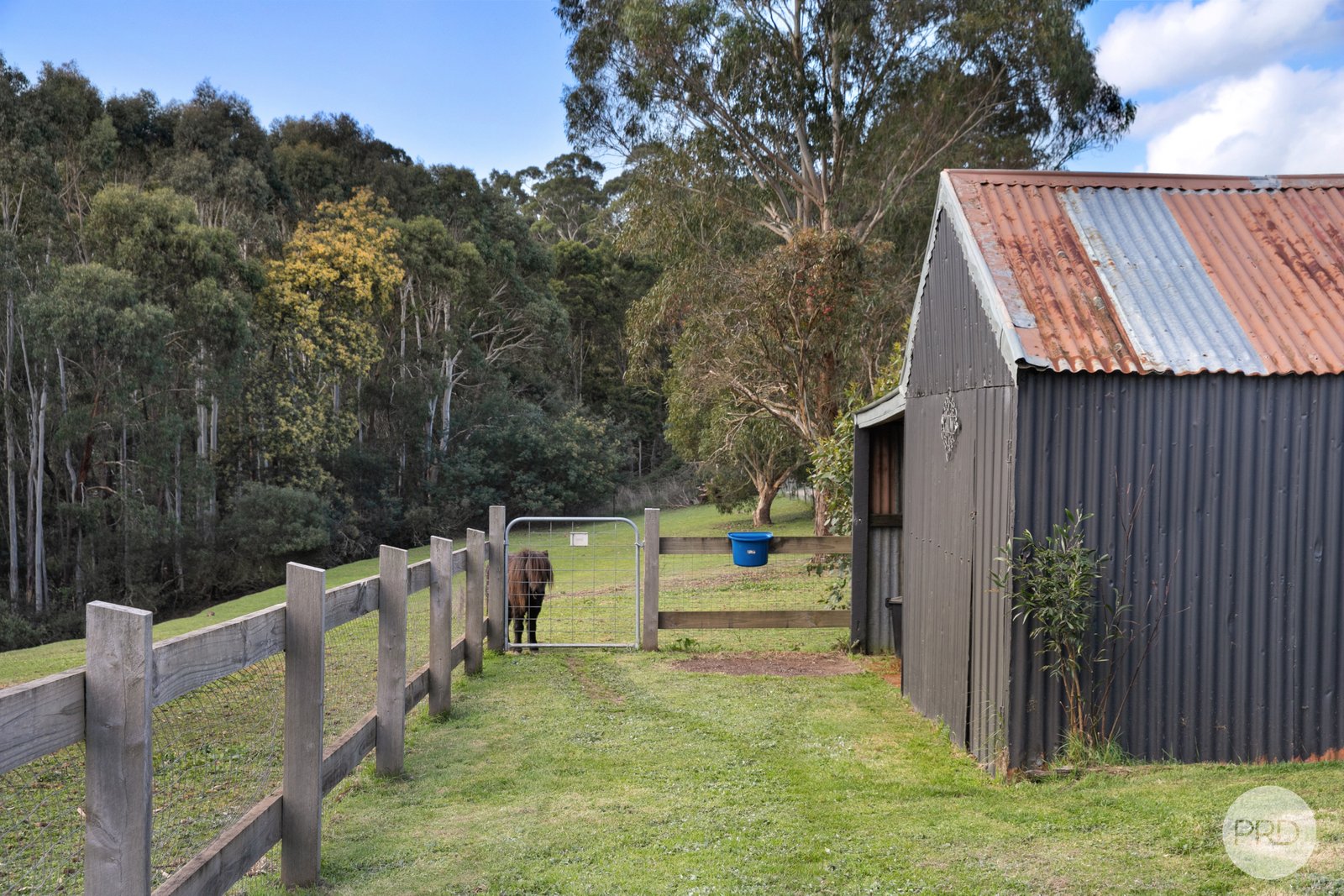 223 Daylesford Road BROWN HILL 18