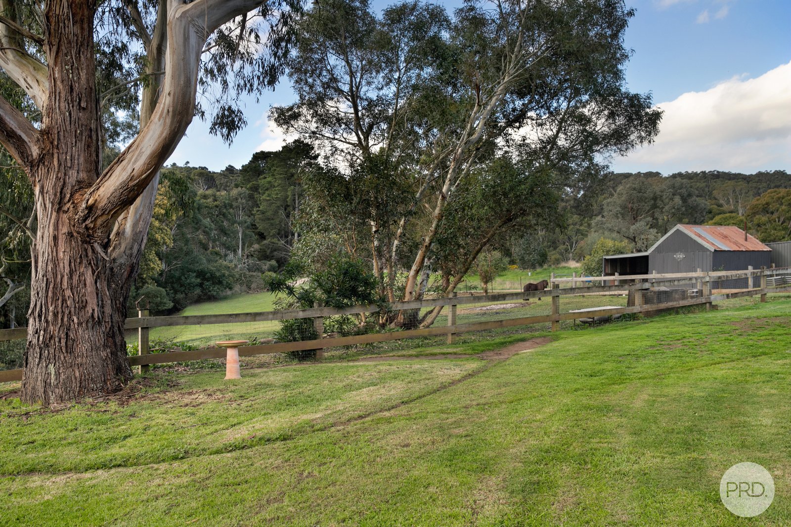 223 Daylesford Road BROWN HILL 19