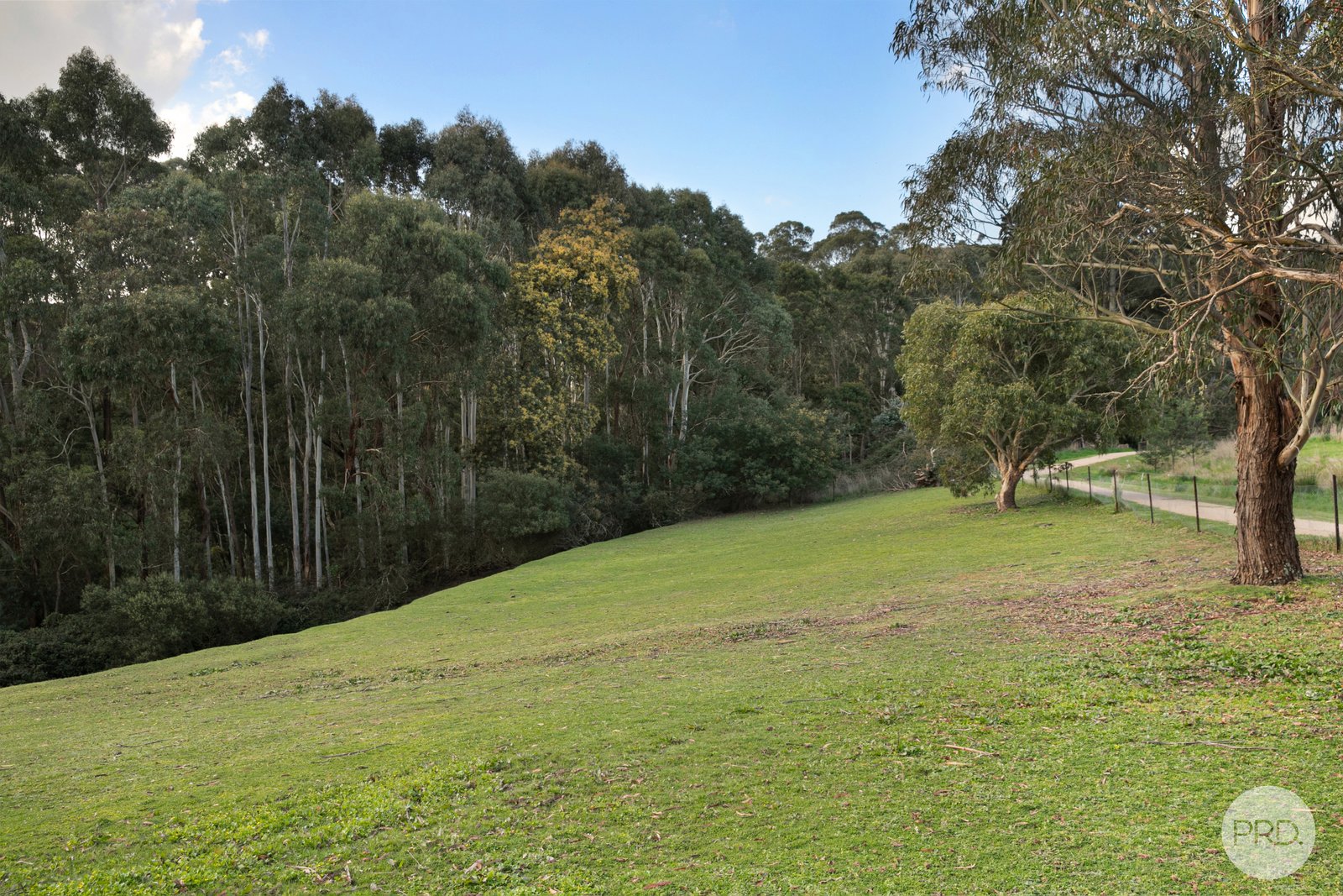 223 Daylesford Road BROWN HILL 20