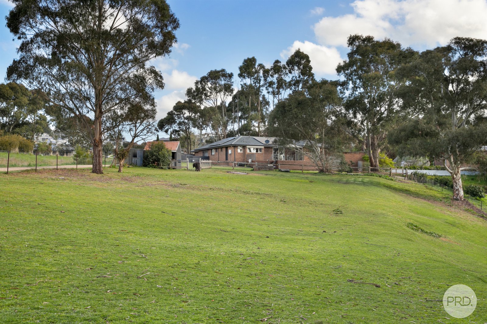 223 Daylesford Road BROWN HILL 21