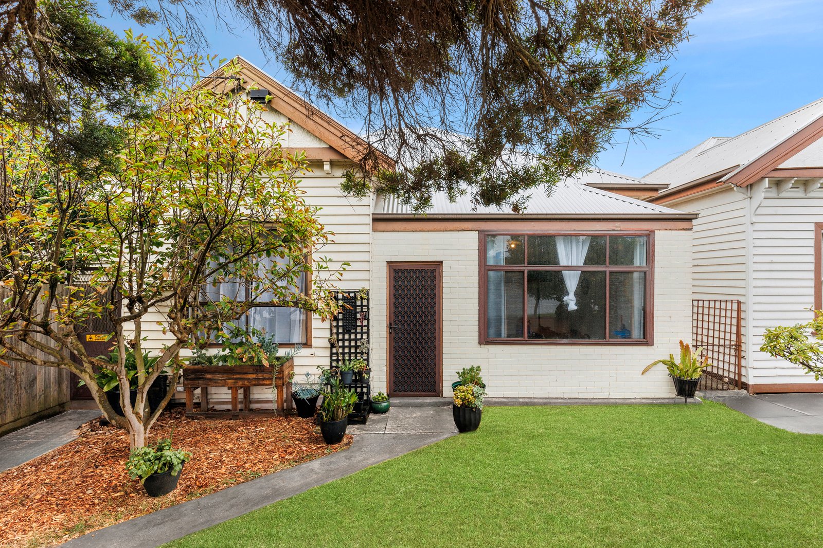 Gallery: 223 McKillop Street