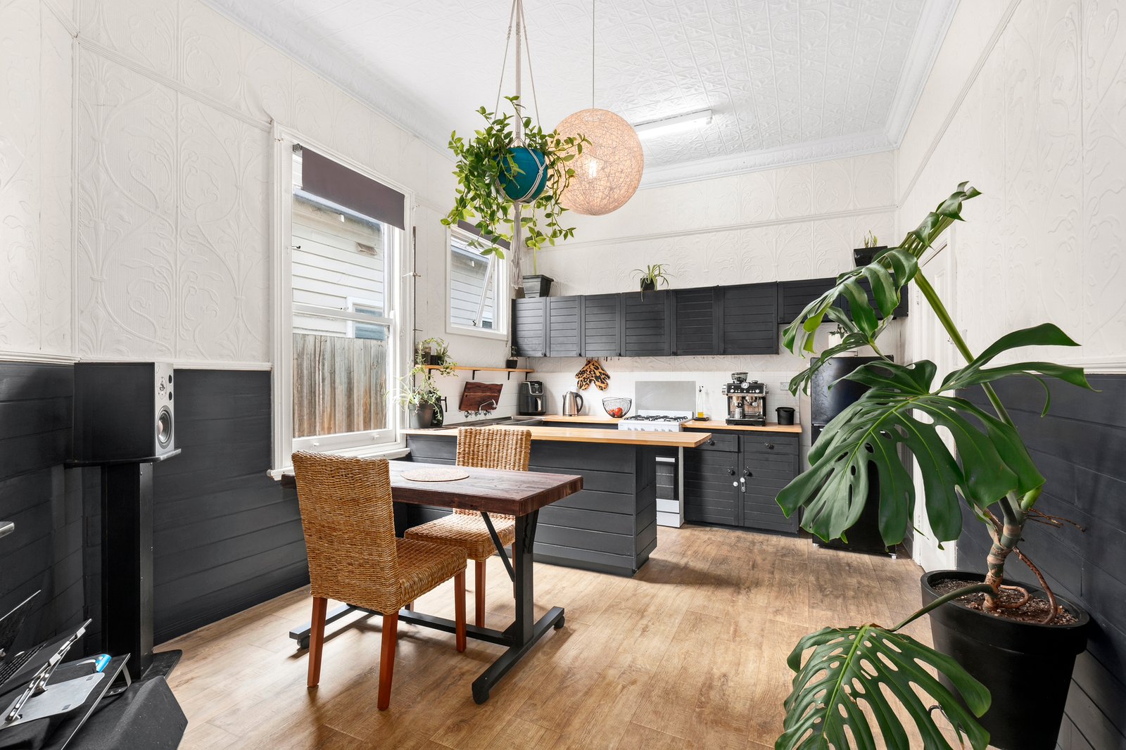 Gallery: 223 McKillop Street