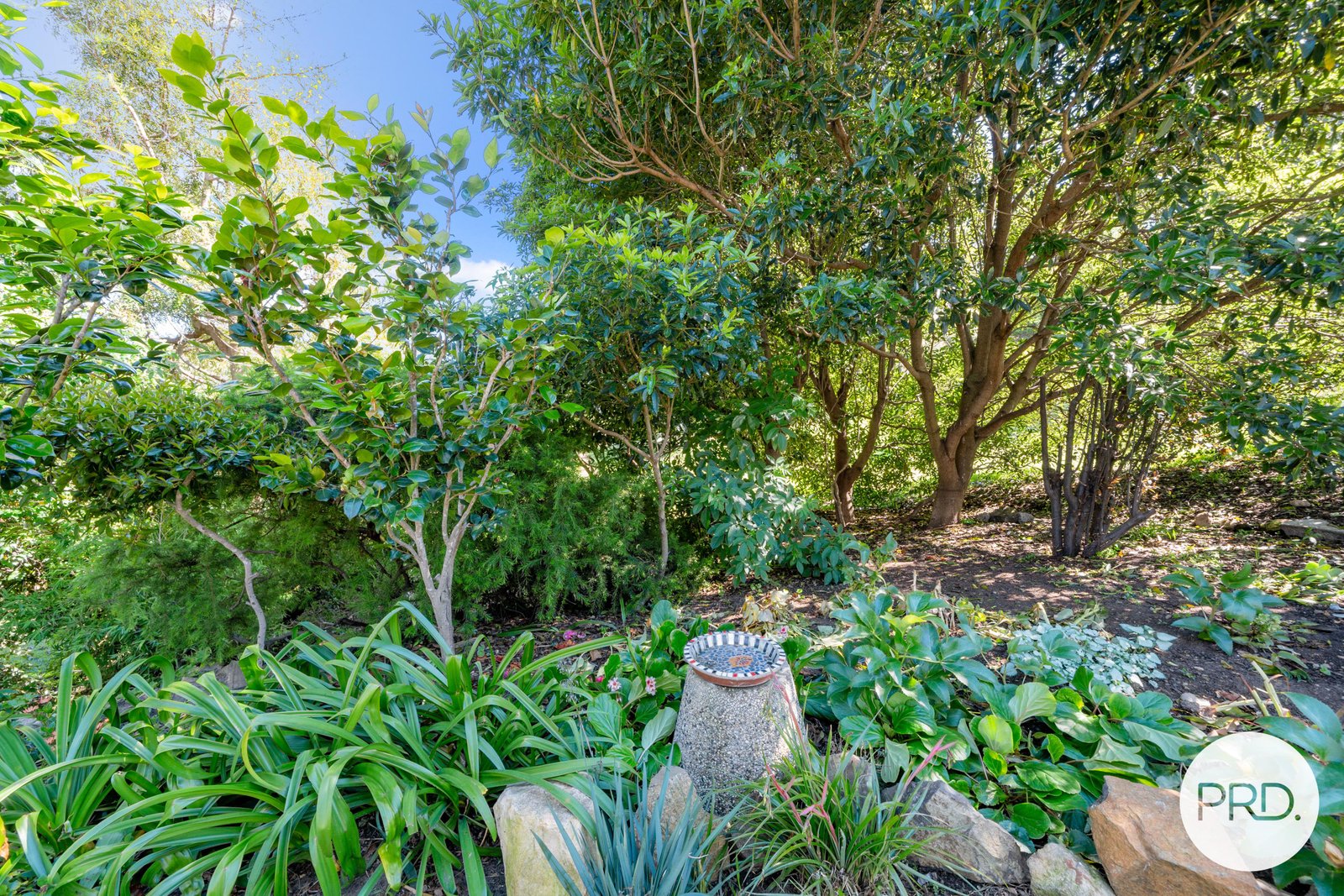 224 Carella Street HOWRAH 16