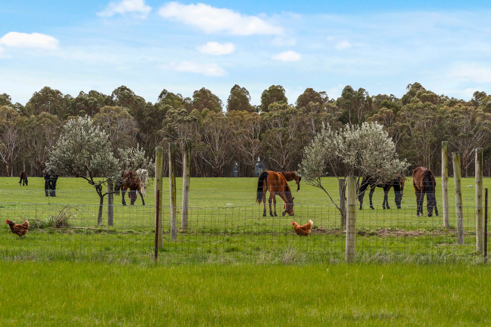 Real Estate and Property in 224 Kennedys Lane, Darraweit Guim, VIC