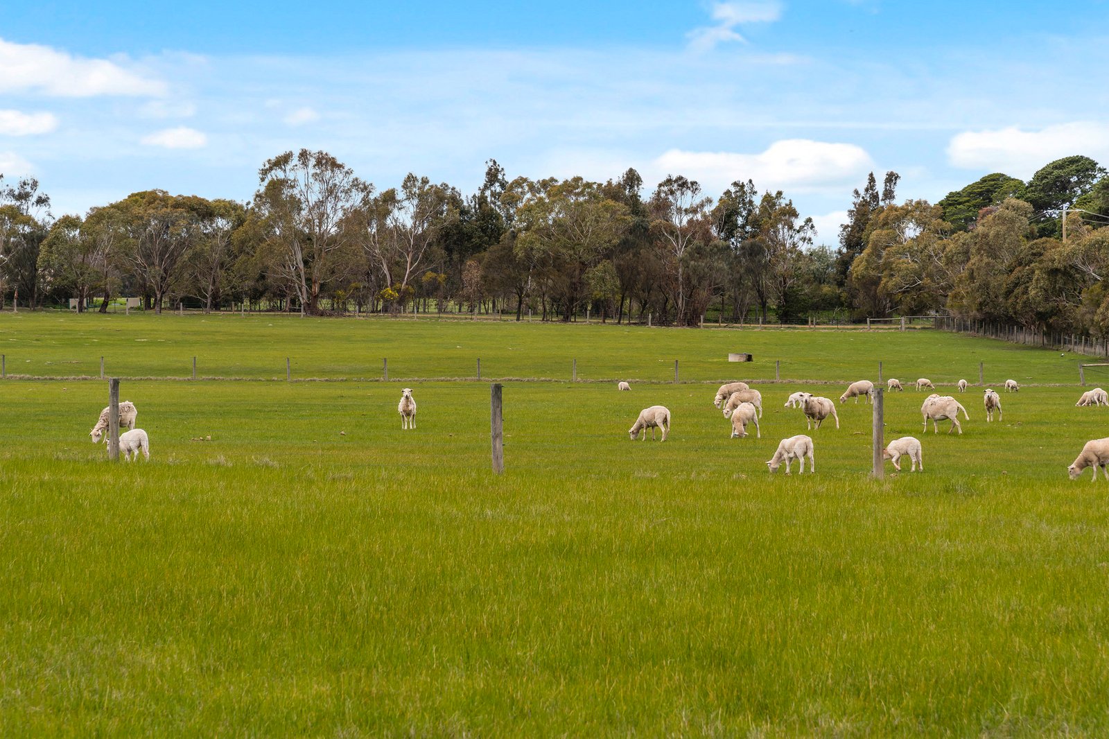 Real Estate and Property in 224 Kennedys Lane, Darraweit Guim, VIC