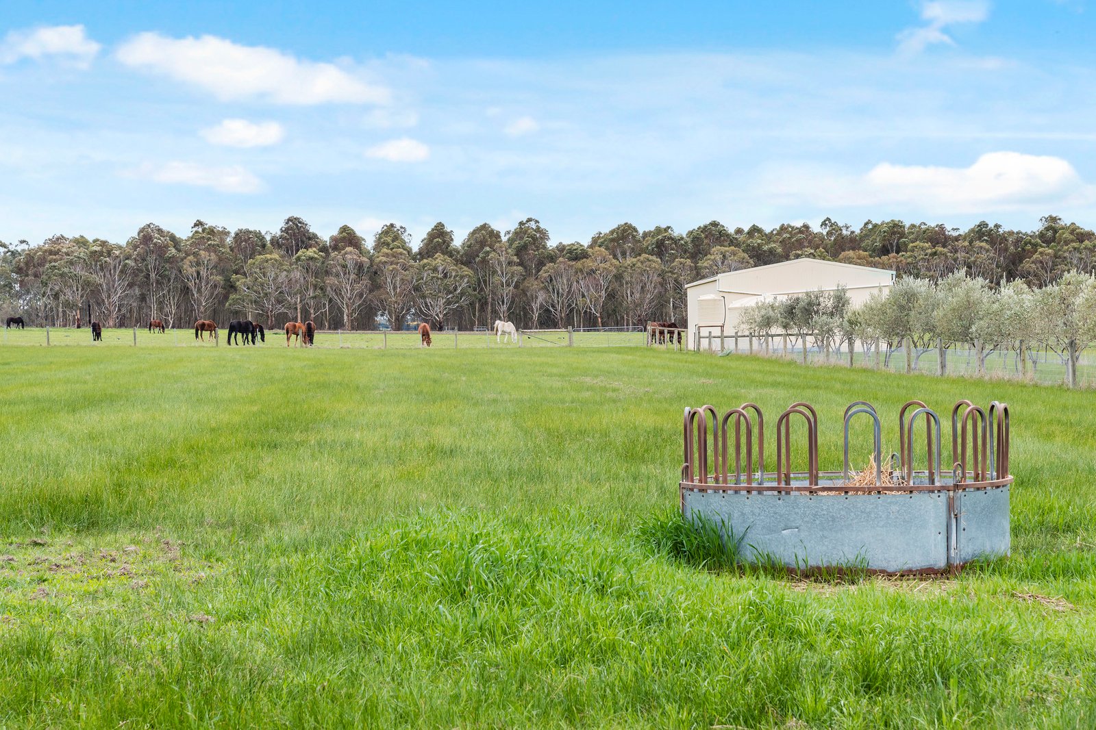 Real Estate and Property in 224 Kennedys Lane, Darraweit Guim, VIC