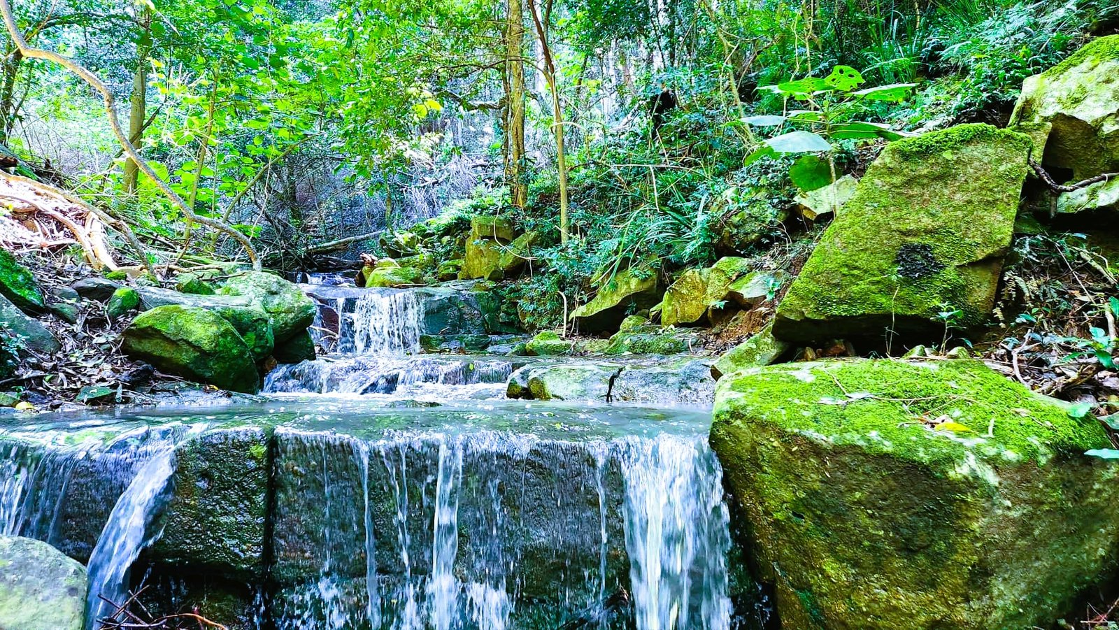 224 North Marshall Mount Road MARSHALL MOUNT 3