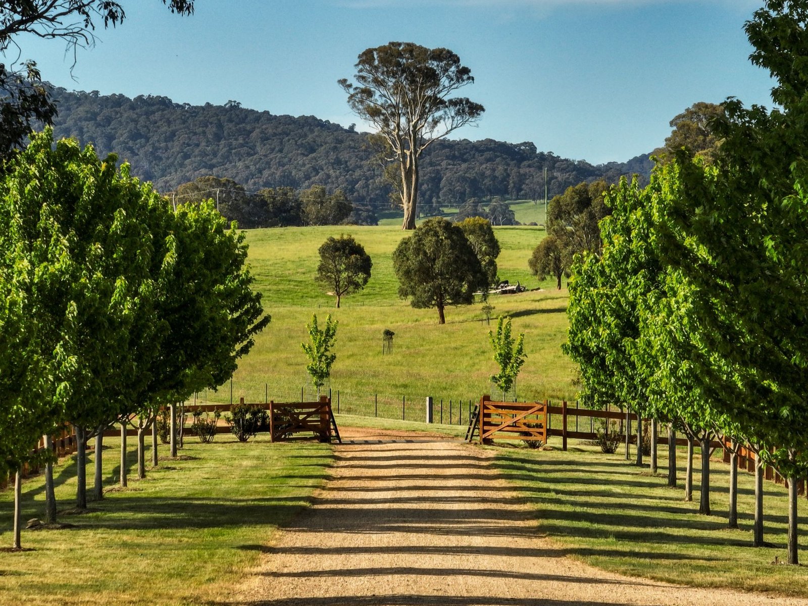 Real Estate and Property in 224 Purcells Road, Merrijig, VIC