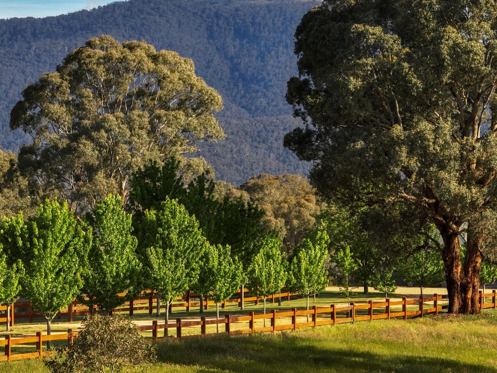 Real Estate and Property in 224 Purcells Road, Merrijig, VIC