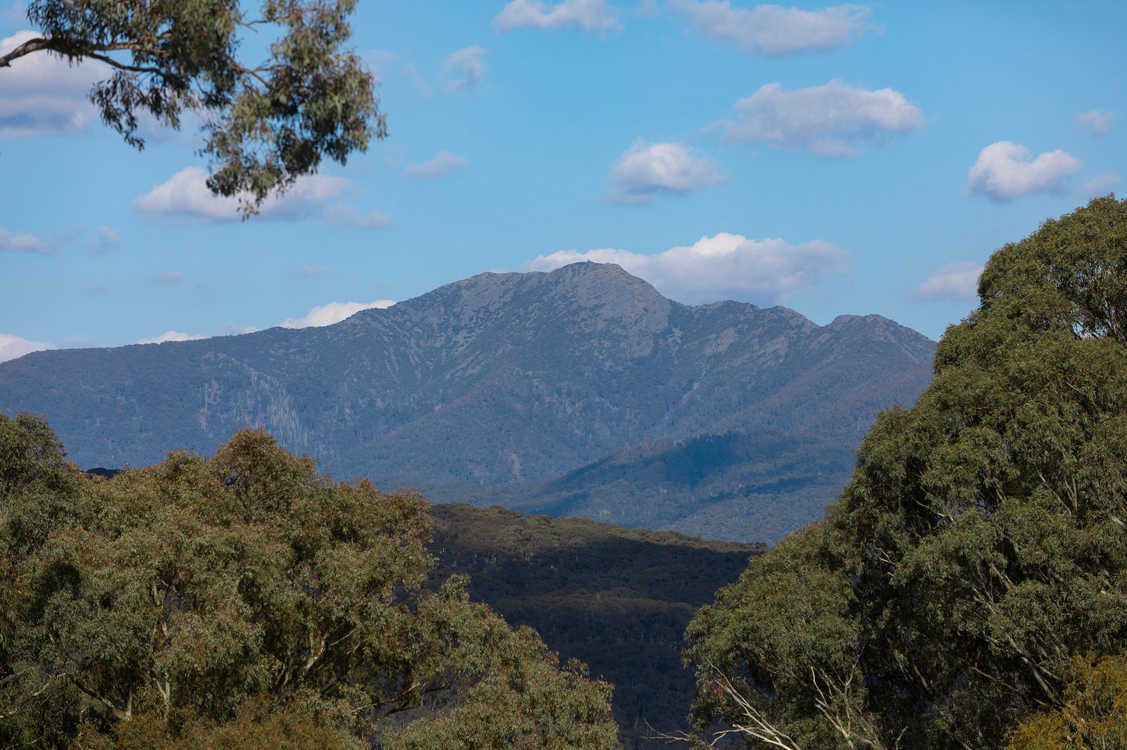 Real Estate and Property in 224 Purcells Road, Merrijig, VIC