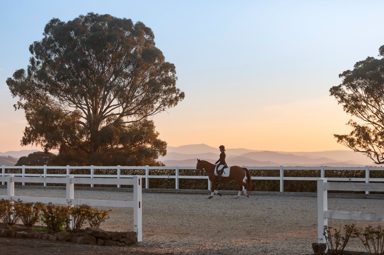 Real Estate and Property in 224 Purcells Road, Merrijig, VIC