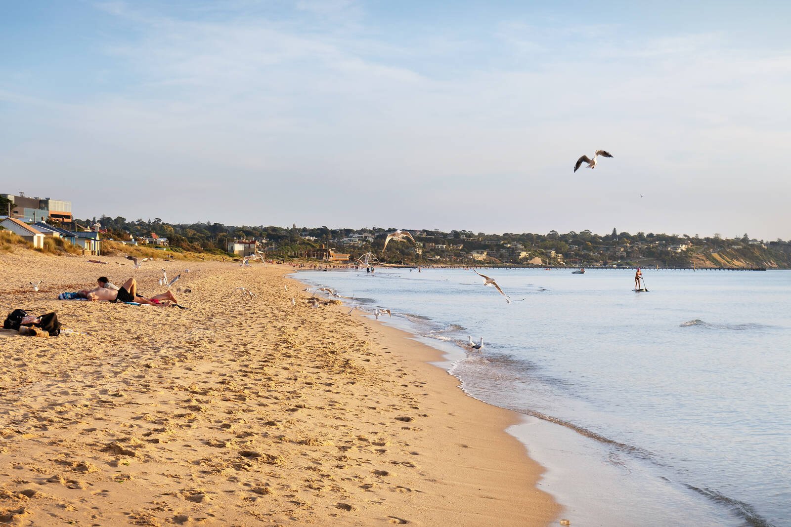 Real Estate and Property in 22/402 Nepean Highway, Frankston, VIC