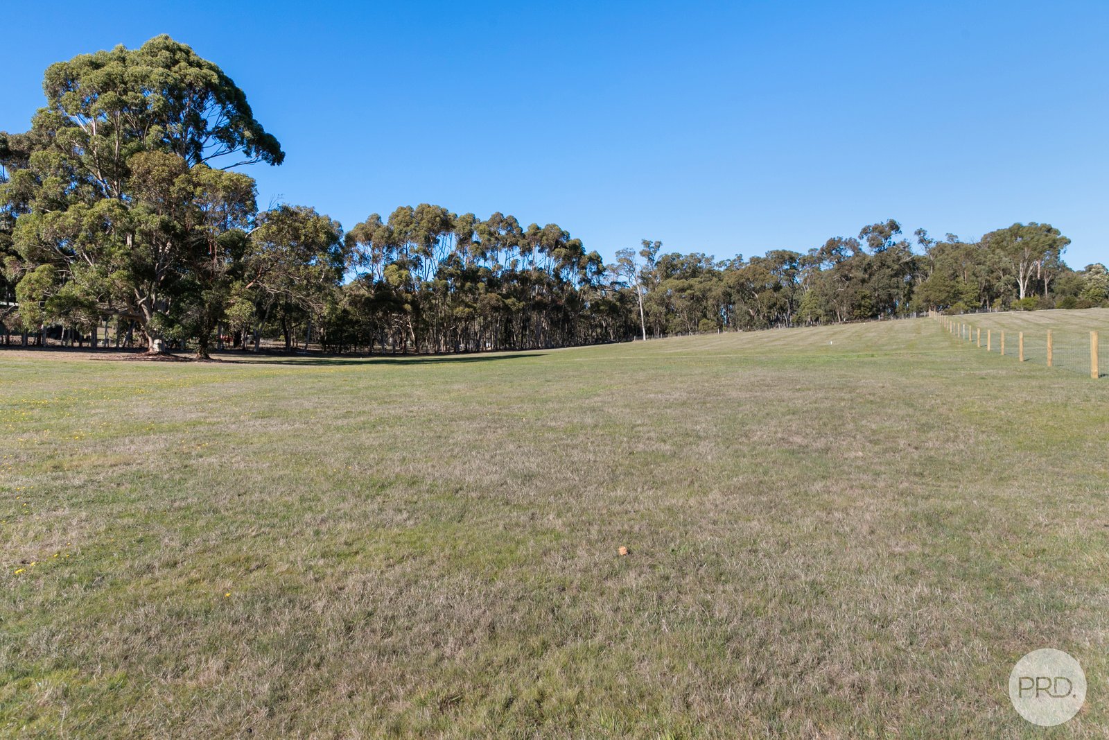 225 Kennedys Road SMYTHES CREEK 7